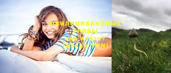 2c-b Долгопрудный