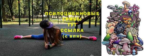 таблы Новый Уренгой