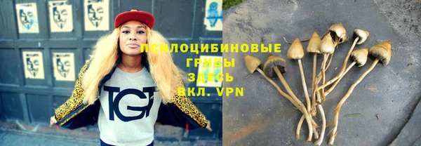 сатива Орехово-Зуево