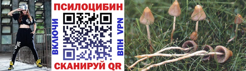 мега как войти  Вытегра  Псилоцибиновые грибы MAGIC MUSHROOMS 
