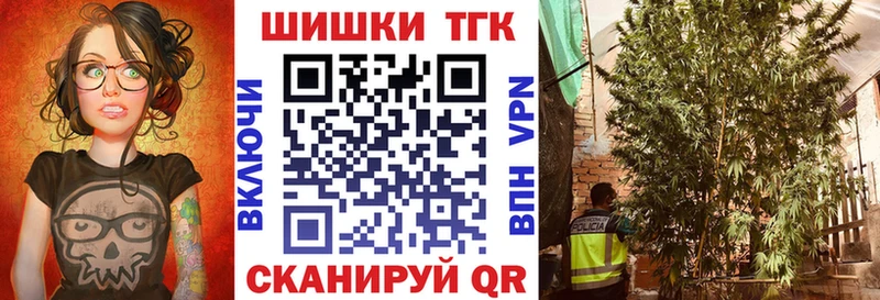 Шишки марихуана THC 21%  Вытегра 